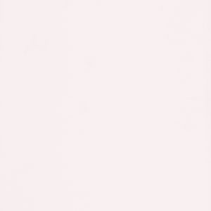 3243 Ivory