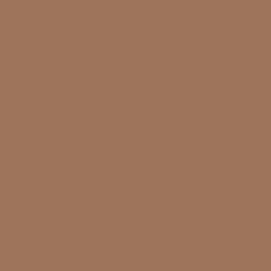 3251 Bronze