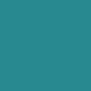 3293 Ocean