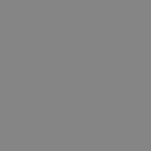 3298 Warm Grey