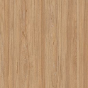 4565 Swiss Elm