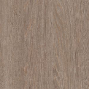 4606 Chinchila Oak