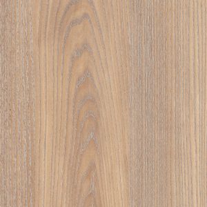 4607 Twiglight Oak