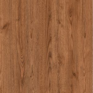 4626 Australia Chestnut New
