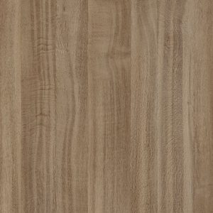 4629 Lavinya New